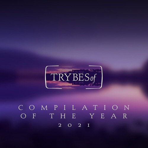 VA – Compilation of the Year 2021 [TRY034]